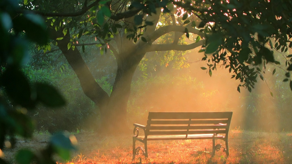 Madeline Ross: Remembering the Woman